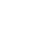 DMF White Logo