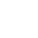 DiodeLED White logo