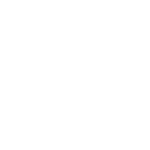 Anthem white logo