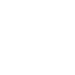 Paradigm white logo