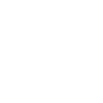 Savant white logo