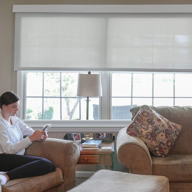 Living Room Shades