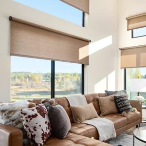 Ambiance Ogden UT Flexstyle AC Window Shades